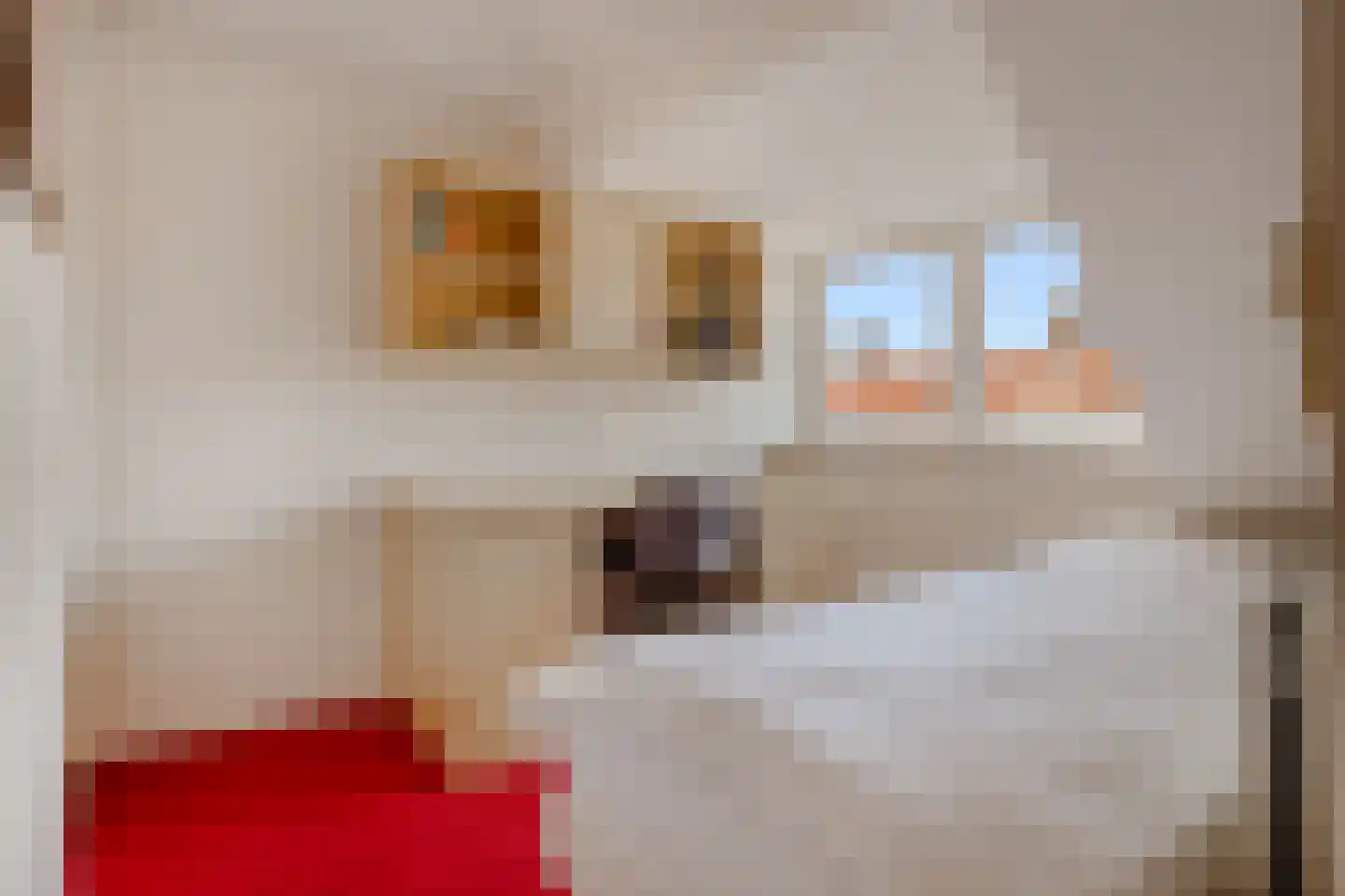 Cattenhagestraat 55 Naarden thumbnail 31