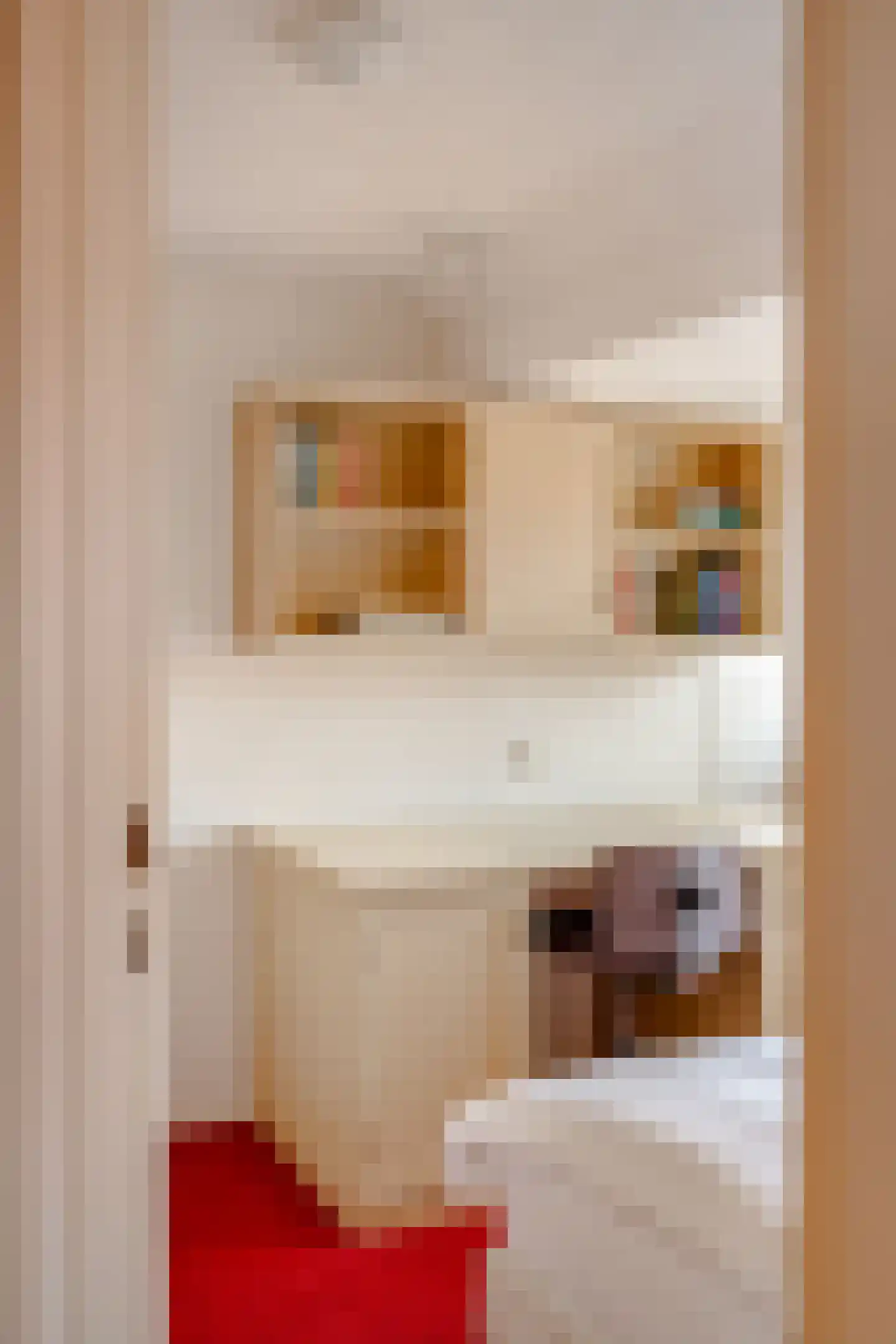 Cattenhagestraat 55 Naarden thumbnail 32