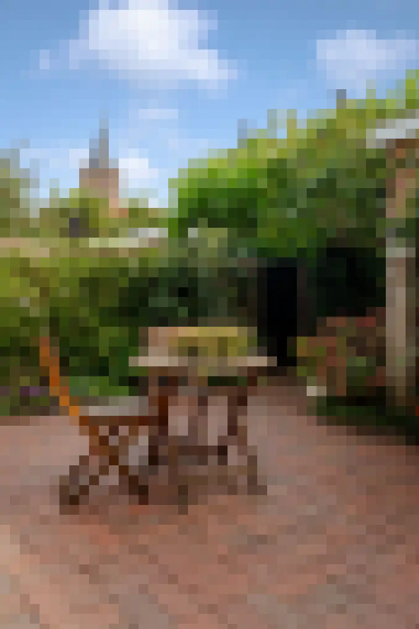 Cattenhagestraat 55 Naarden thumbnail 41