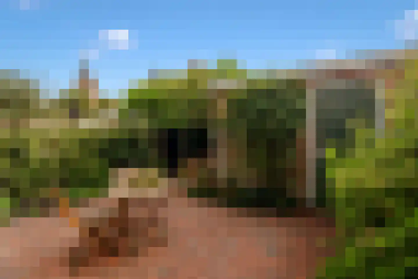 Cattenhagestraat 55 Naarden thumbnail 43
