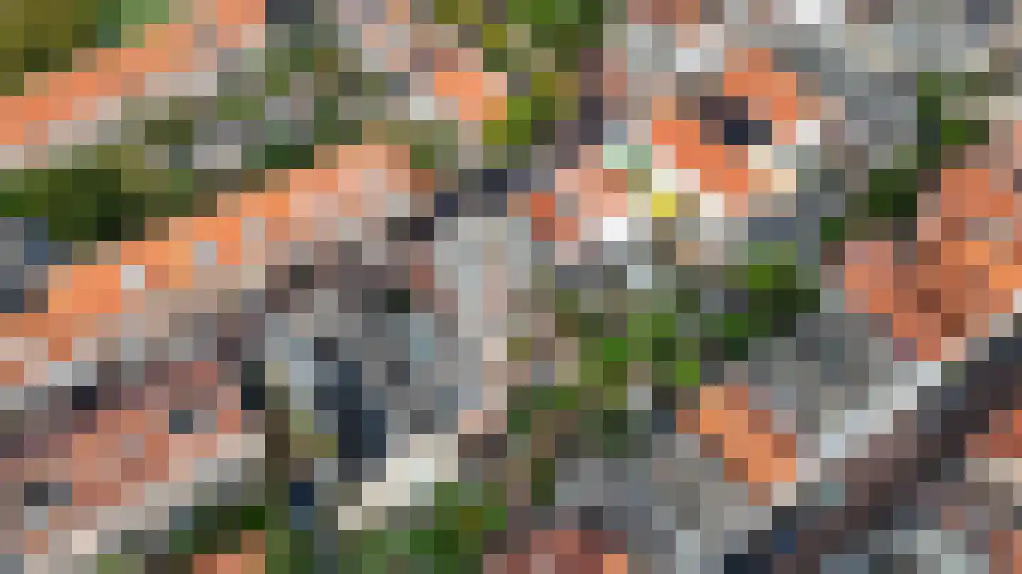 Cattenhagestraat 55 Naarden thumbnail 56