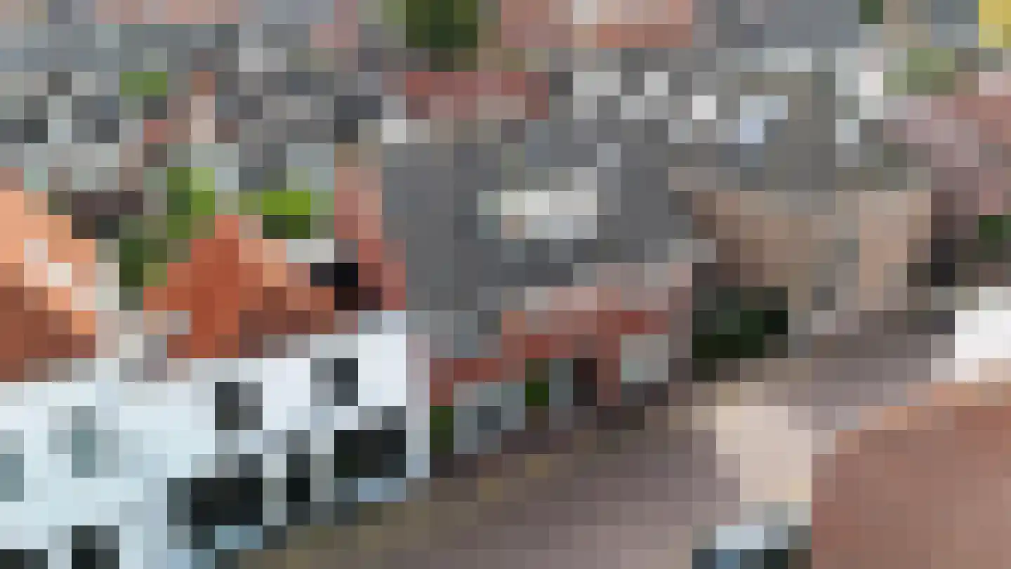 Cattenhagestraat 55 Naarden thumbnail 57