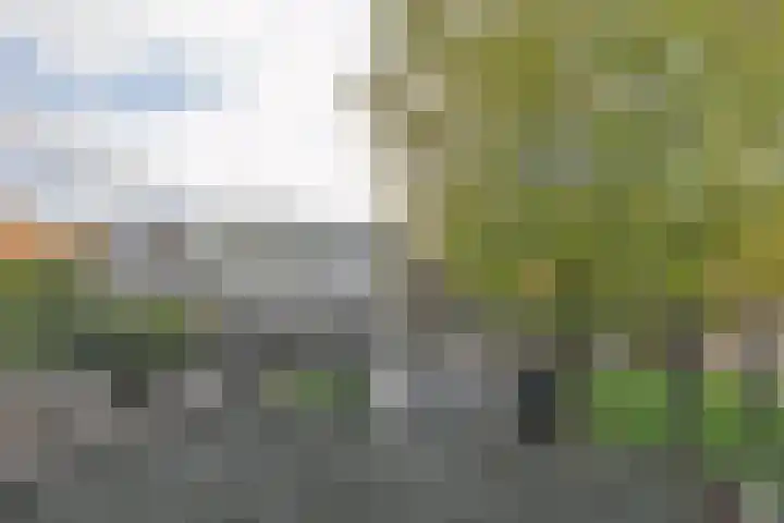 Cattenhagestraat 75 Naarden thumbnail 12