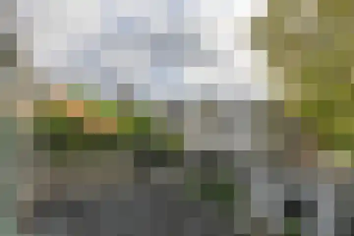 Cattenhagestraat 75 Naarden thumbnail 13