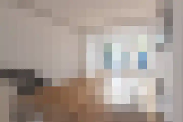 Cattenhagestraat 75 Naarden thumbnail 5