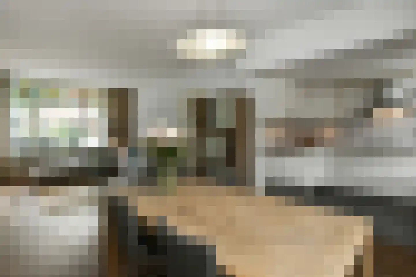 Cattepoelseweg 211 Arnhem thumbnail 12