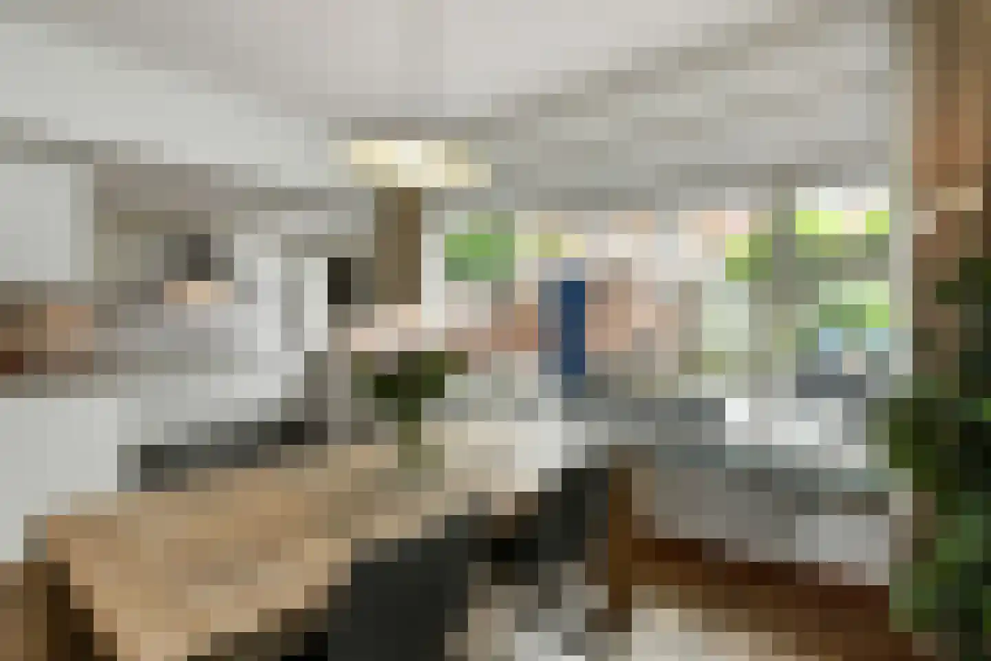 Cattepoelseweg 211 Arnhem thumbnail 13
