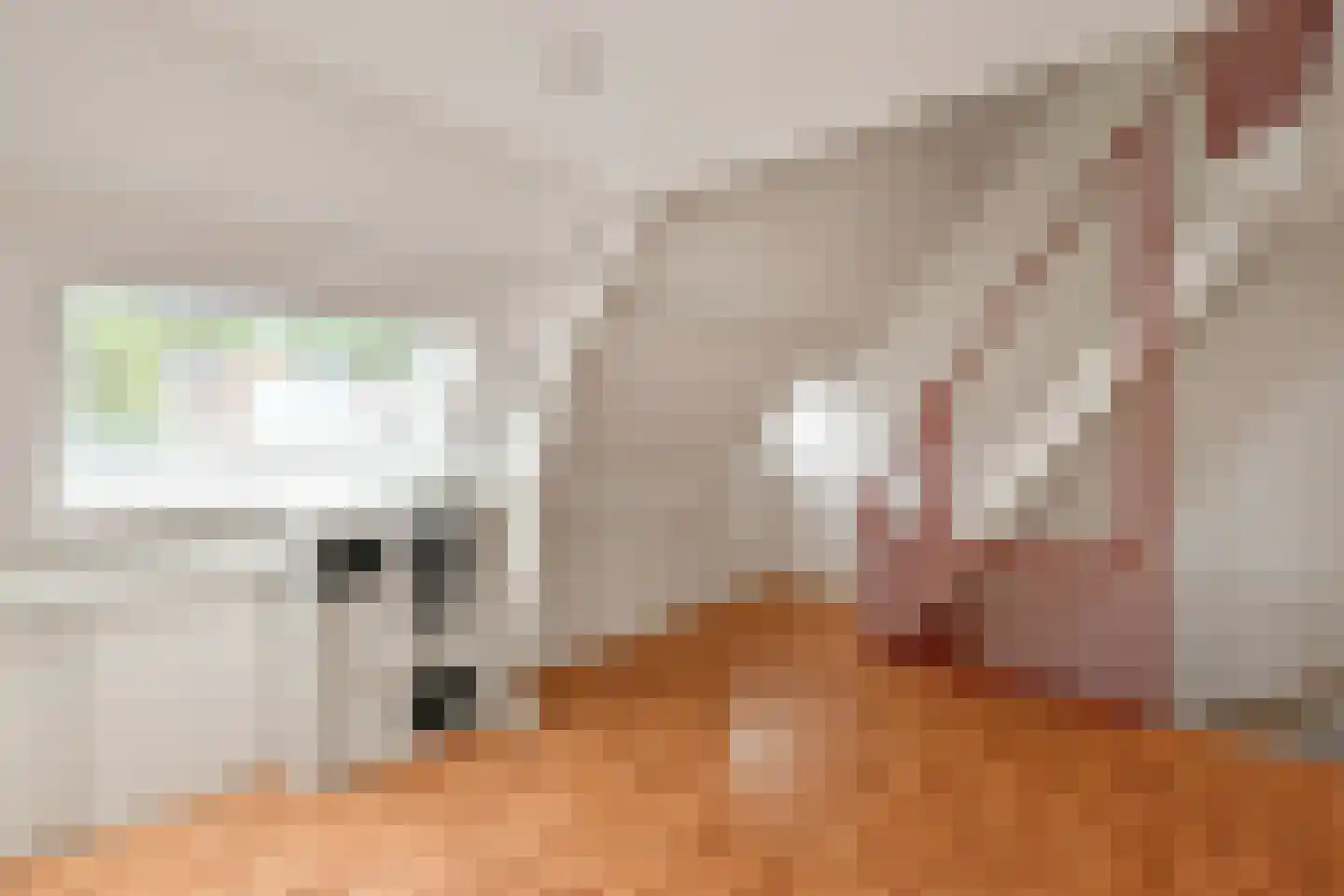 Cattepoelseweg 211 Arnhem thumbnail 30