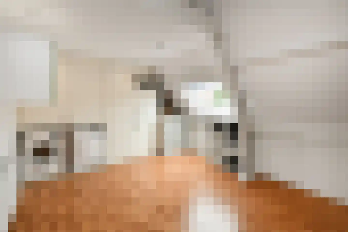 Cattepoelseweg 211 Arnhem thumbnail 31
