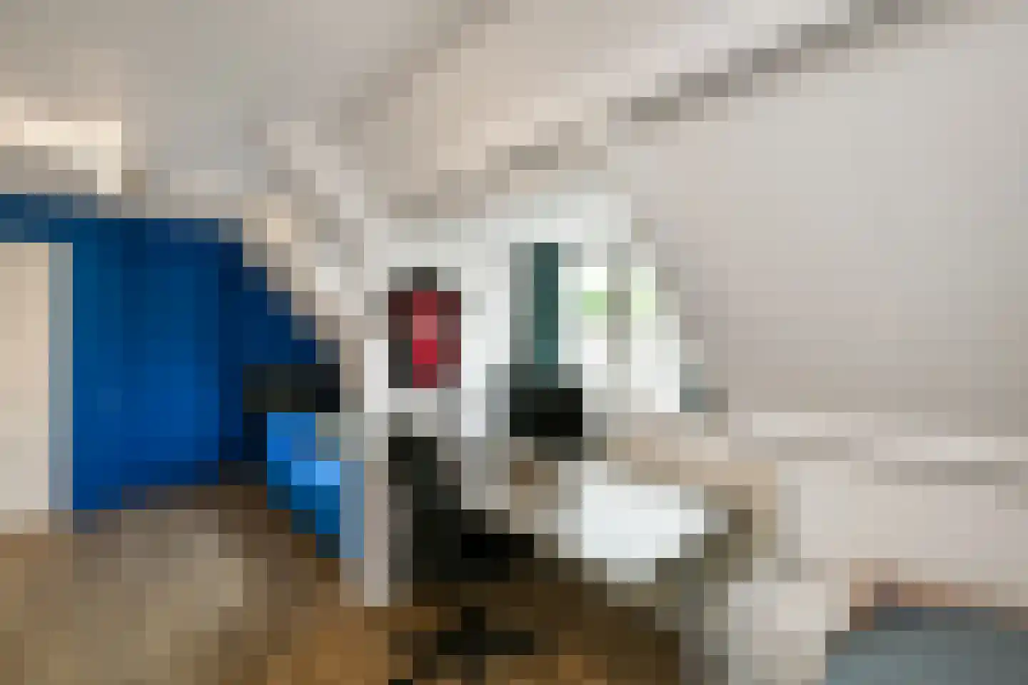 Cattepoelseweg 211 Arnhem thumbnail 35