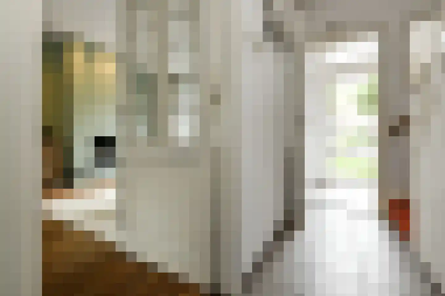 Cattepoelseweg 211 Arnhem thumbnail 4
