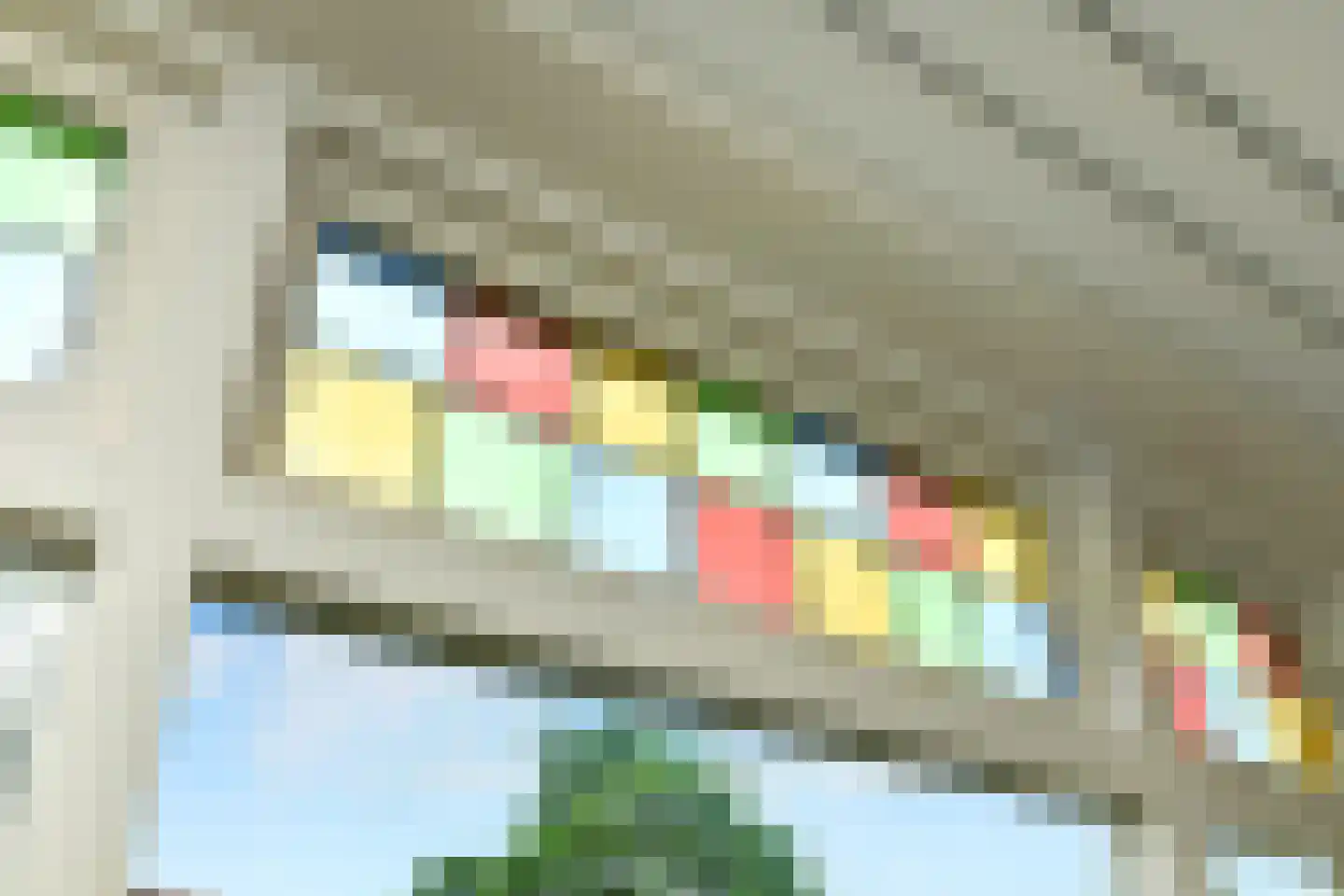Cattepoelseweg 211 Arnhem thumbnail 7