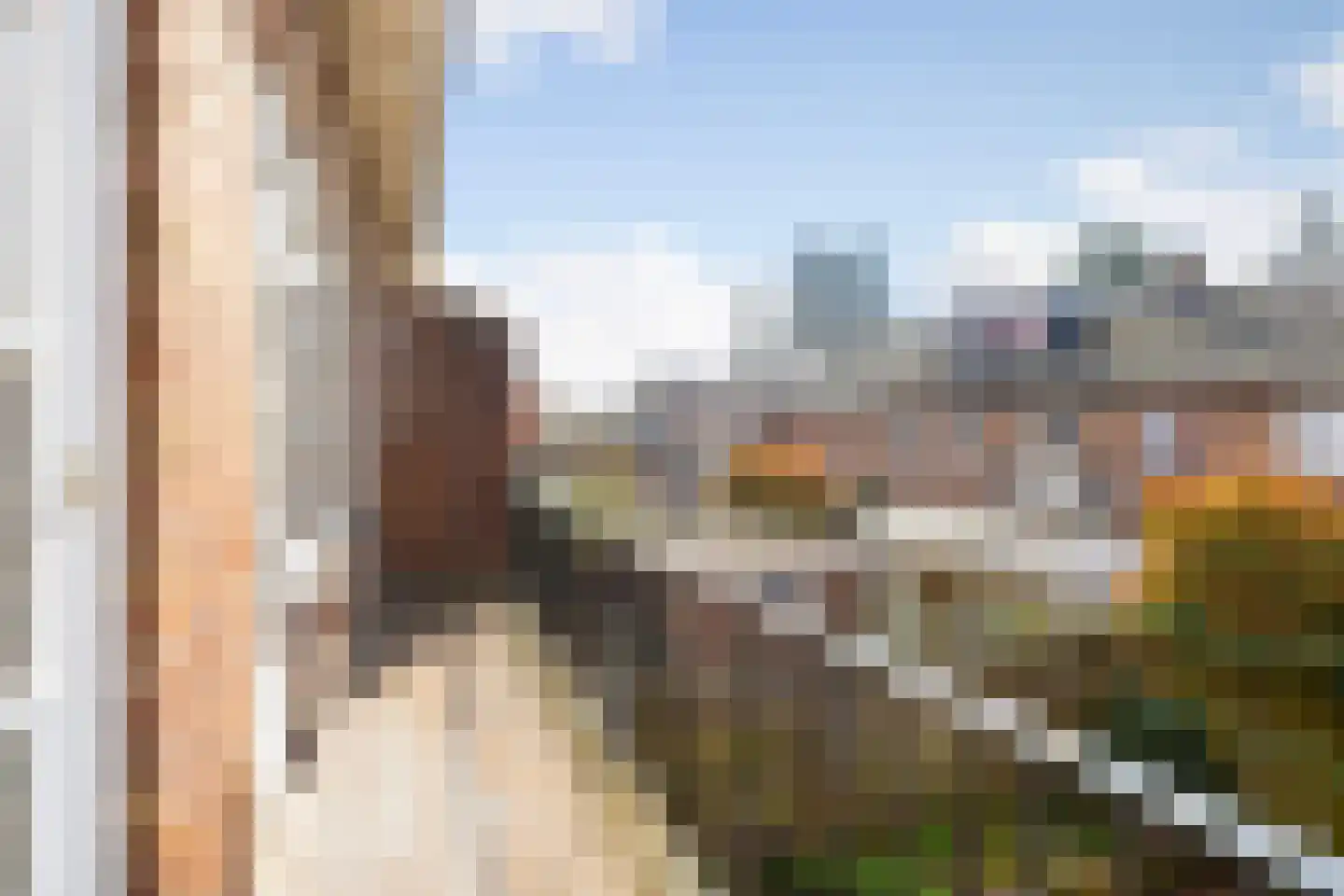 Cattepoelseweg 213 Arnhem thumbnail 15