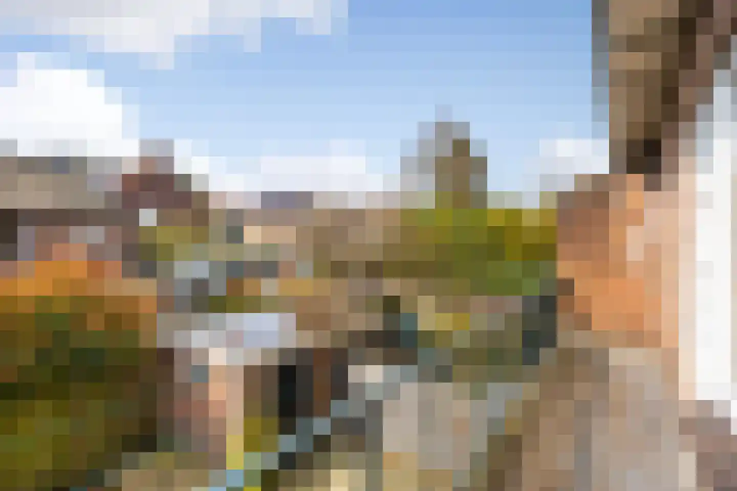 Cattepoelseweg 213 Arnhem thumbnail 16