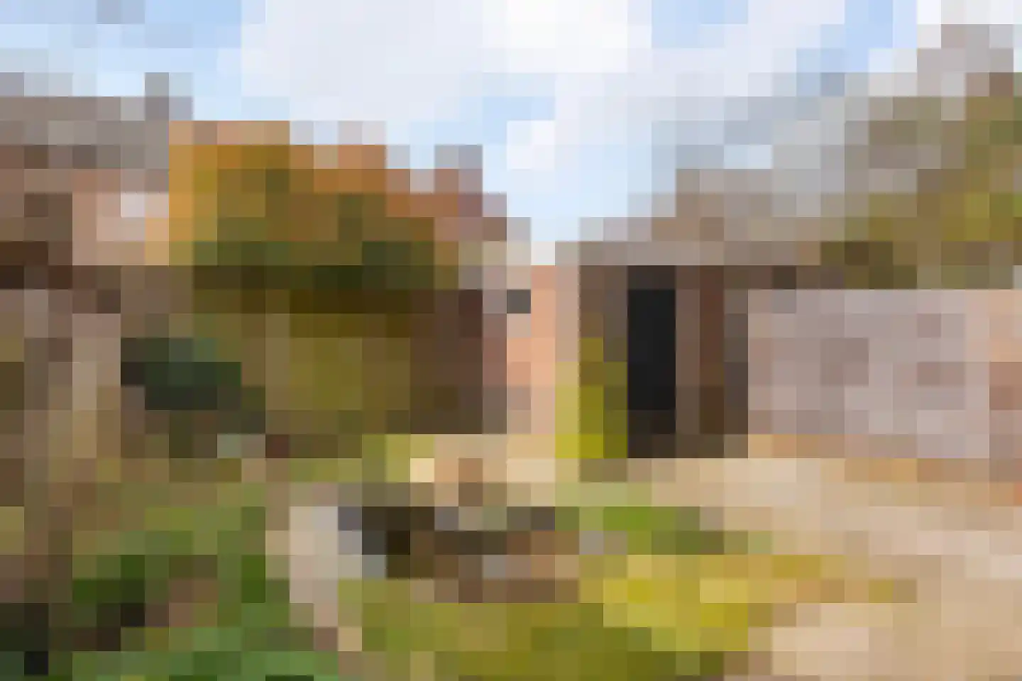 Cattepoelseweg 213 Arnhem thumbnail 30