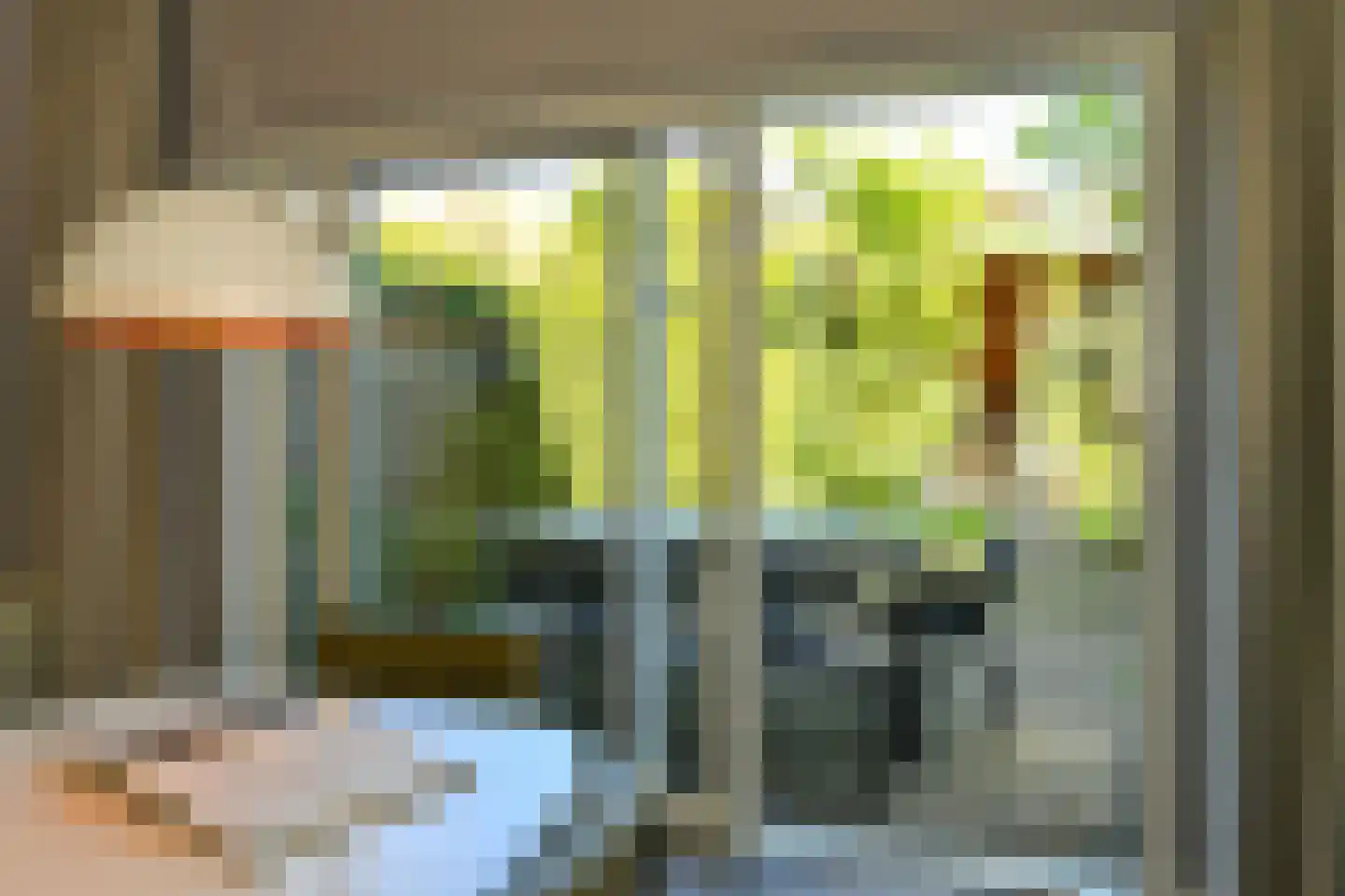 Cattepoelseweg 258 Arnhem thumbnail 16