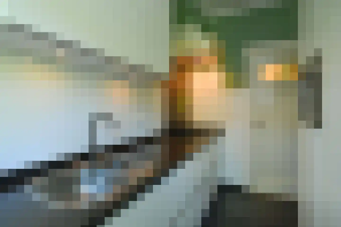 Cattepoelseweg 258 Arnhem thumbnail 18