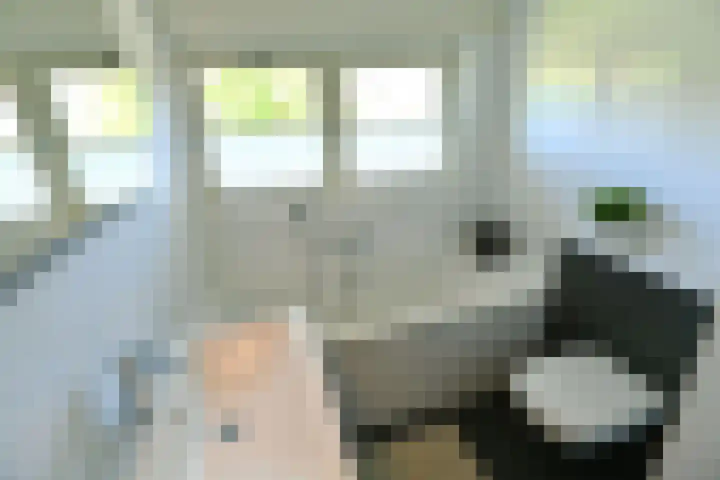 Cattepoelseweg 258 Arnhem thumbnail 26