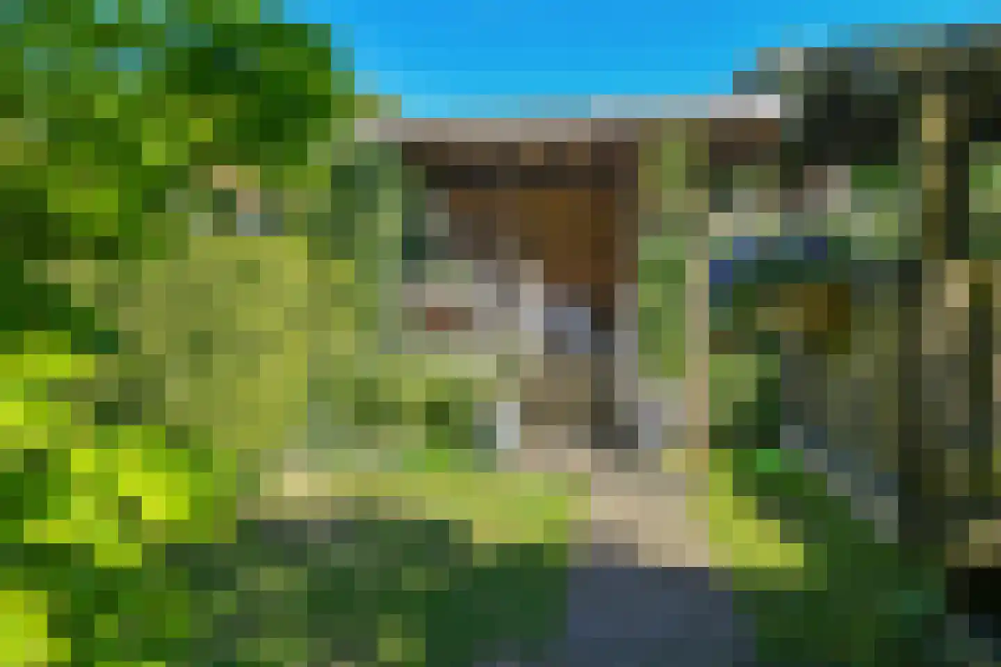 Cattepoelseweg 258 Arnhem thumbnail 33