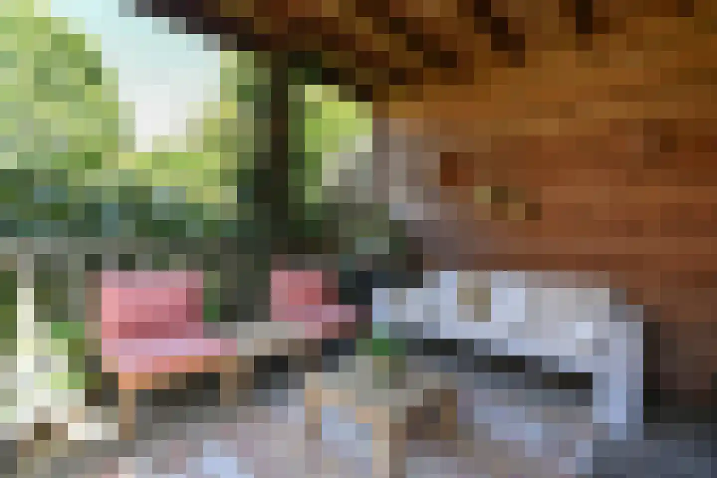 Cattepoelseweg 258 Arnhem thumbnail 37