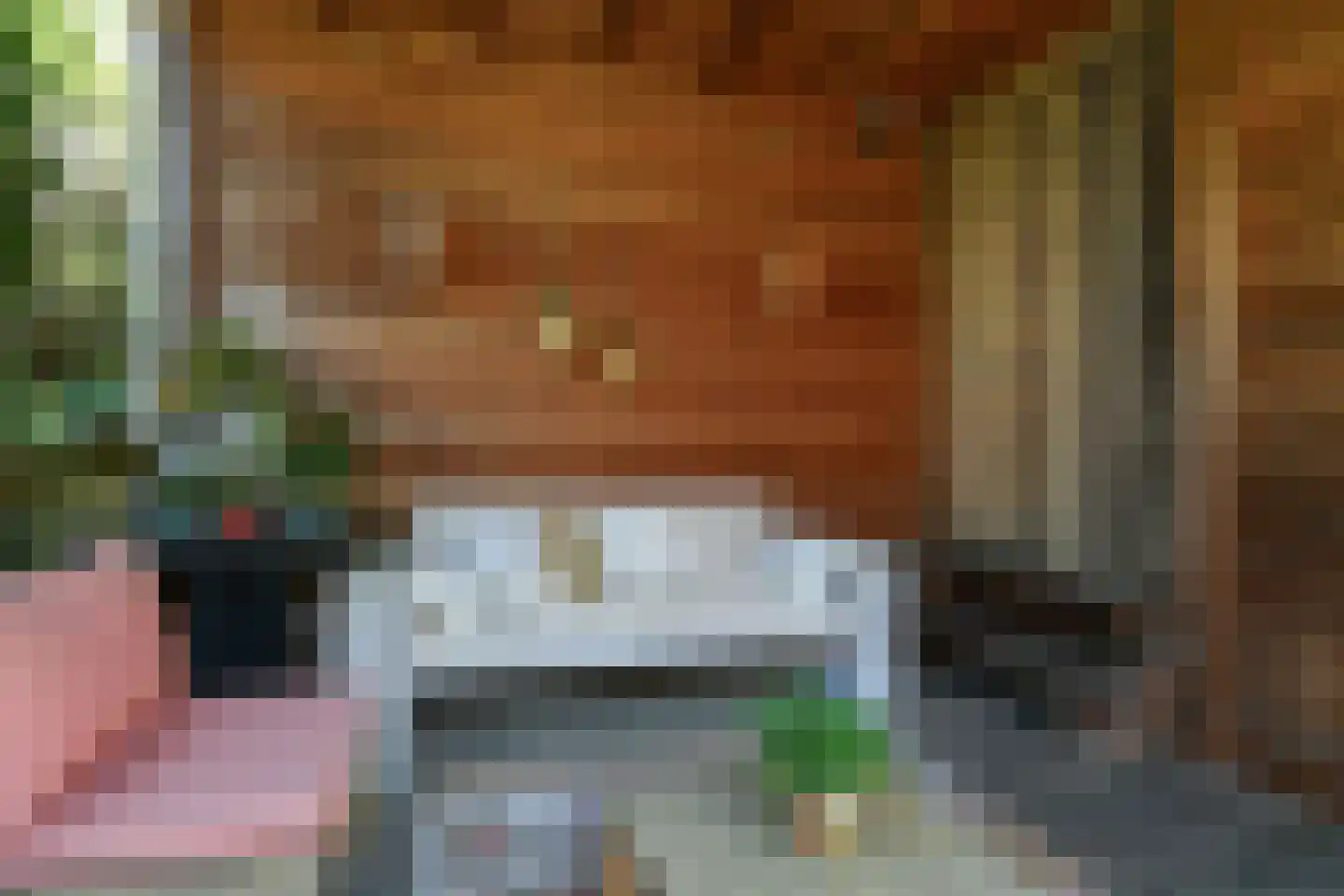 Cattepoelseweg 258 Arnhem thumbnail 38