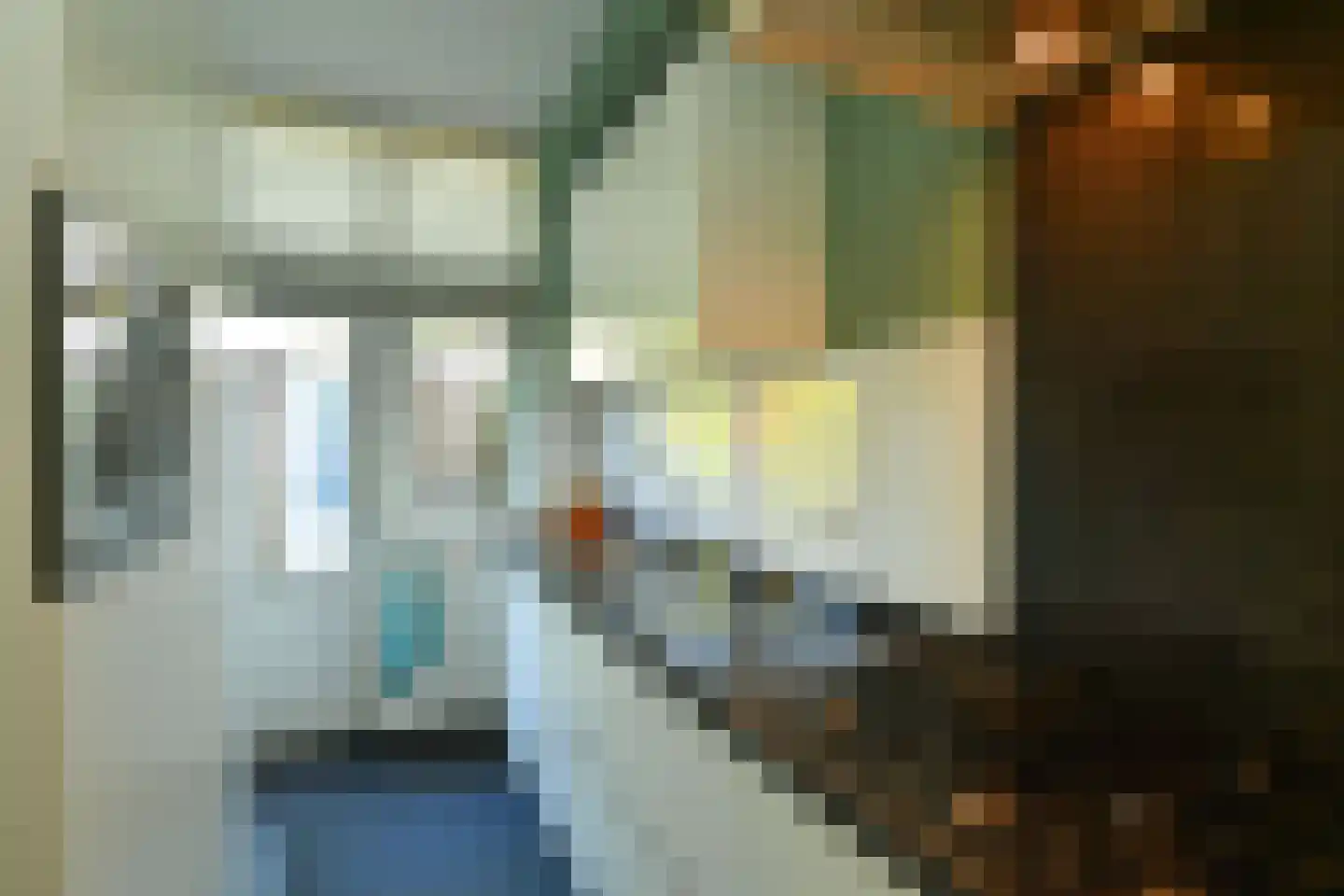 Cattepoelseweg 258 Arnhem thumbnail 4