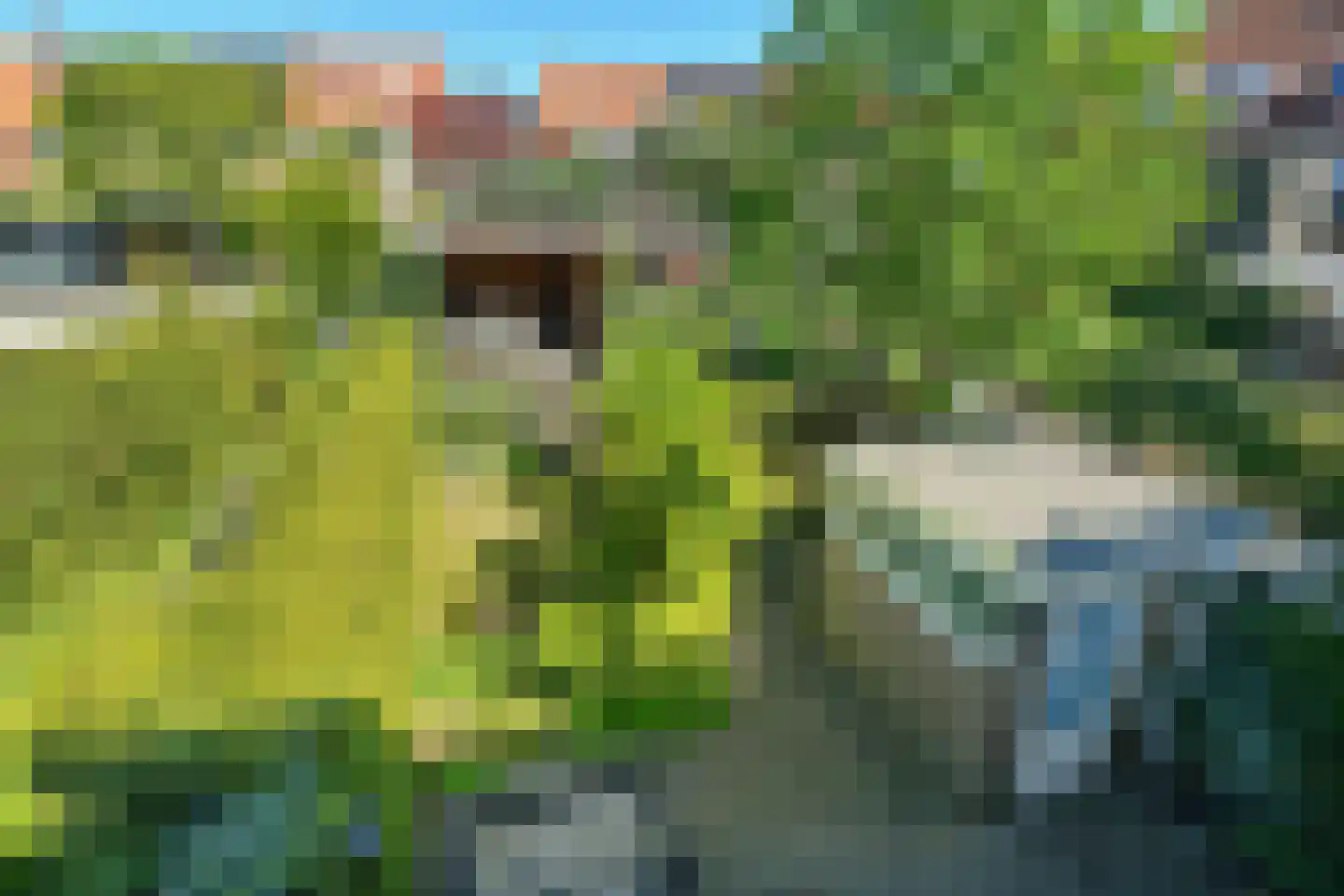 Cattepoelseweg 258 Arnhem thumbnail 42