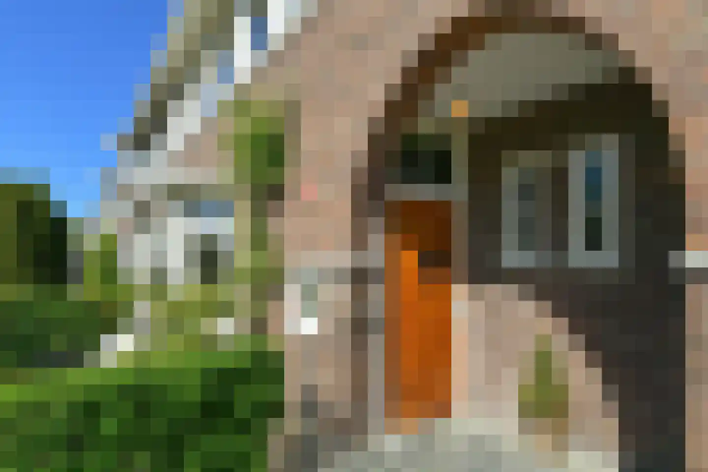 Cattepoelseweg 258 Arnhem thumbnail 44