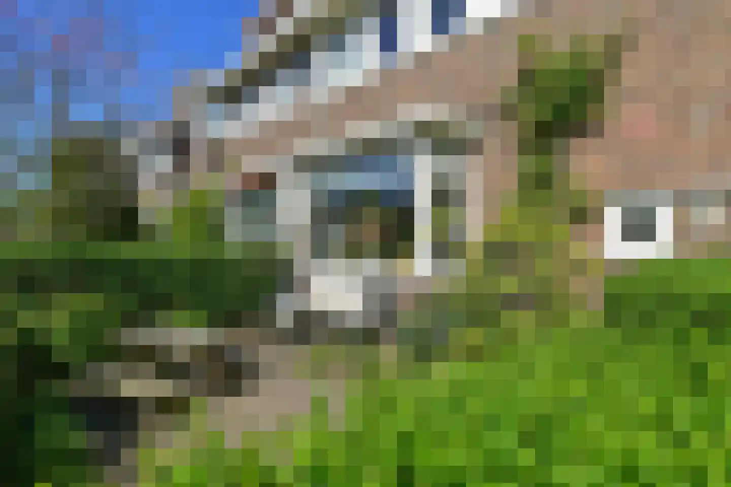 Cattepoelseweg 258 Arnhem thumbnail 5