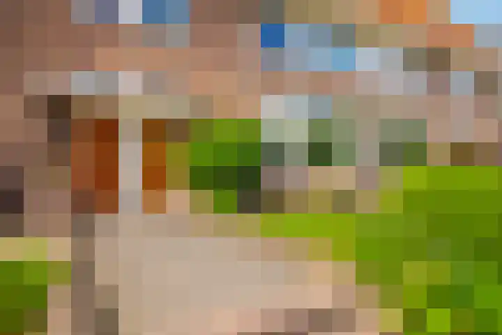 Cattepoelseweg 277 Arnhem thumbnail 4