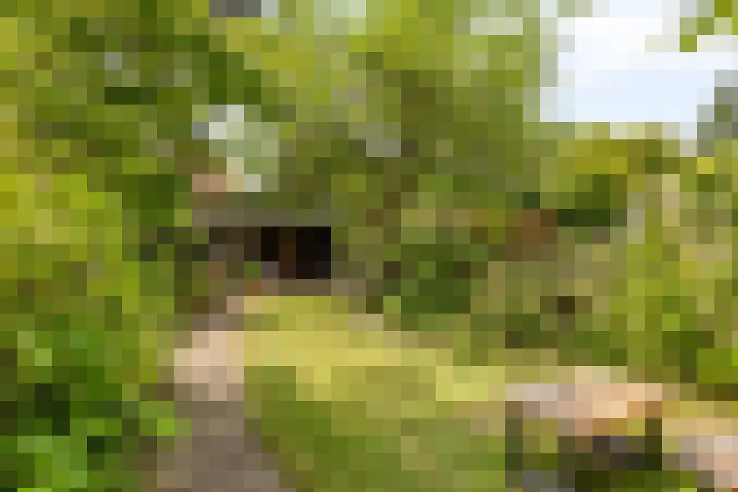 Cattepoelseweg 283 Arnhem thumbnail 15