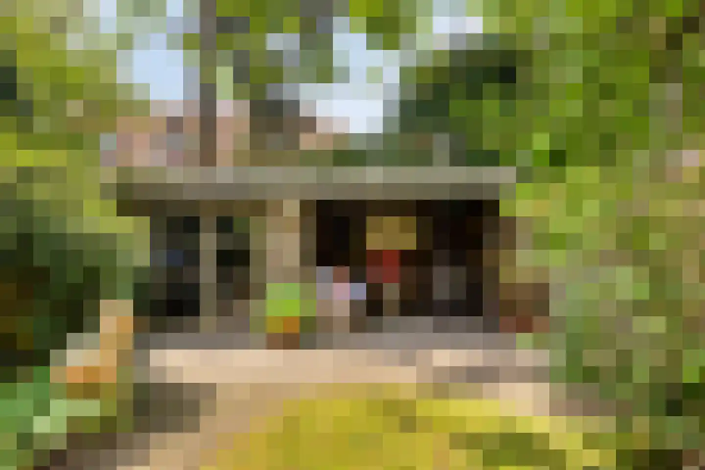 Cattepoelseweg 283 Arnhem thumbnail 16