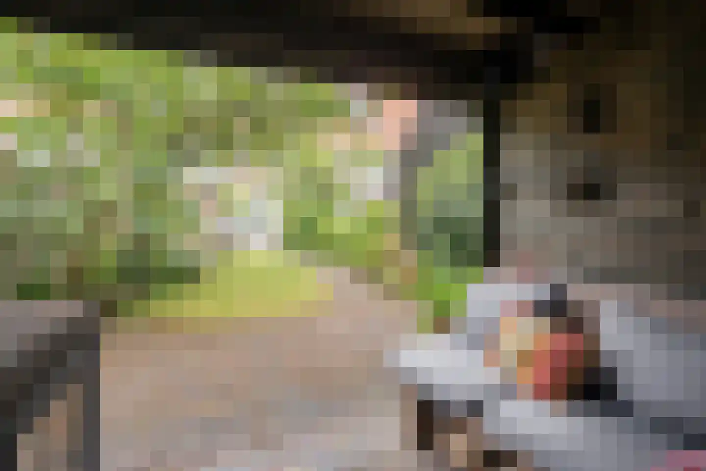 Cattepoelseweg 283 Arnhem thumbnail 19