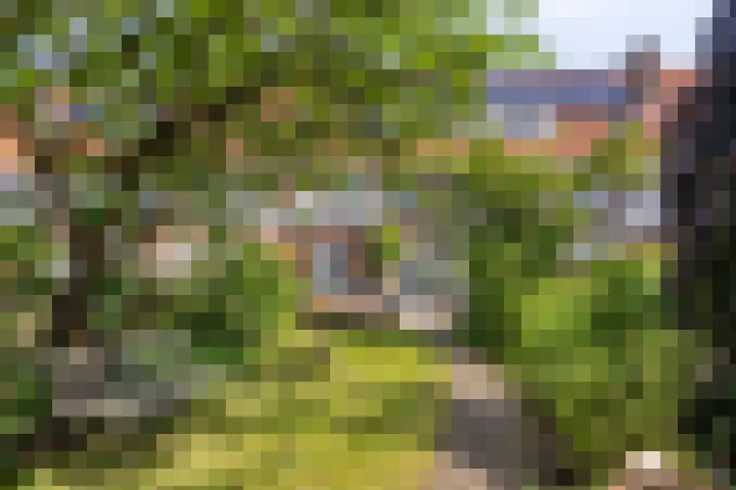 Cattepoelseweg 283 Arnhem thumbnail 20
