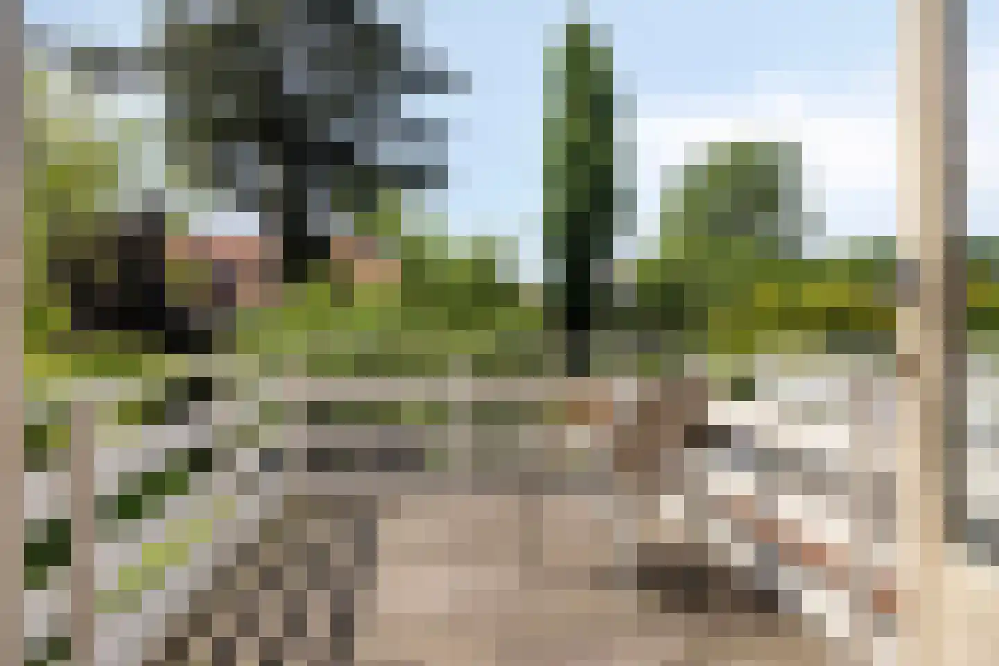 Cattepoelseweg 283 Arnhem thumbnail 30