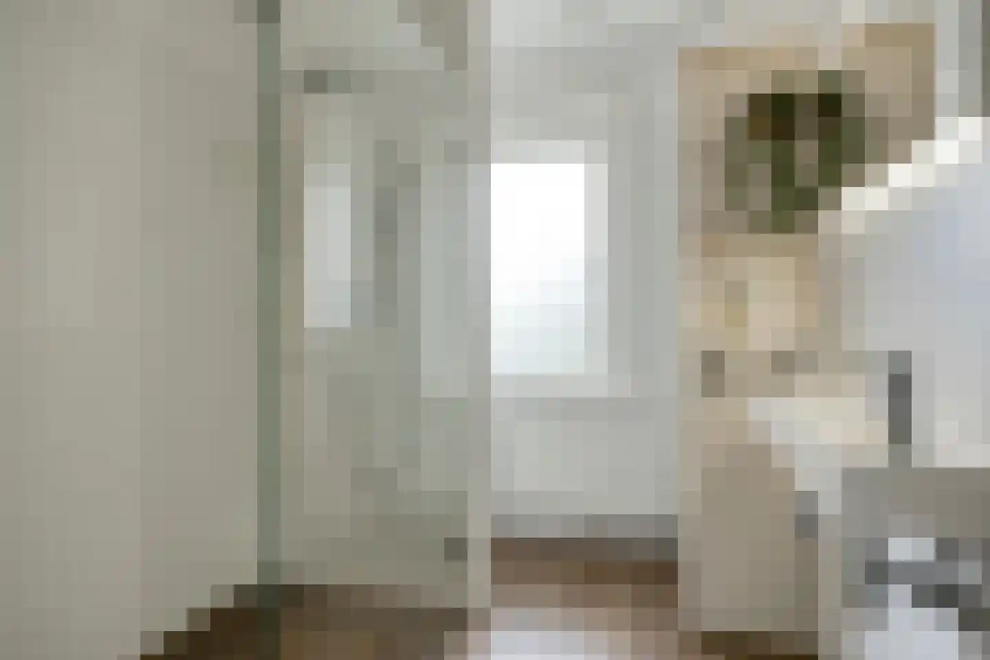 Cattepoelseweg 283 Arnhem thumbnail 32