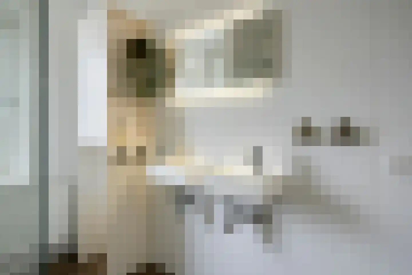 Cattepoelseweg 283 Arnhem thumbnail 33