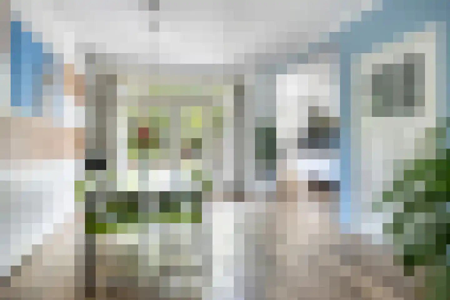 Cattepoelseweg 283 Arnhem thumbnail 6