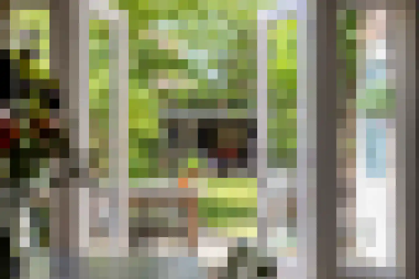 Cattepoelseweg 283 Arnhem thumbnail 7