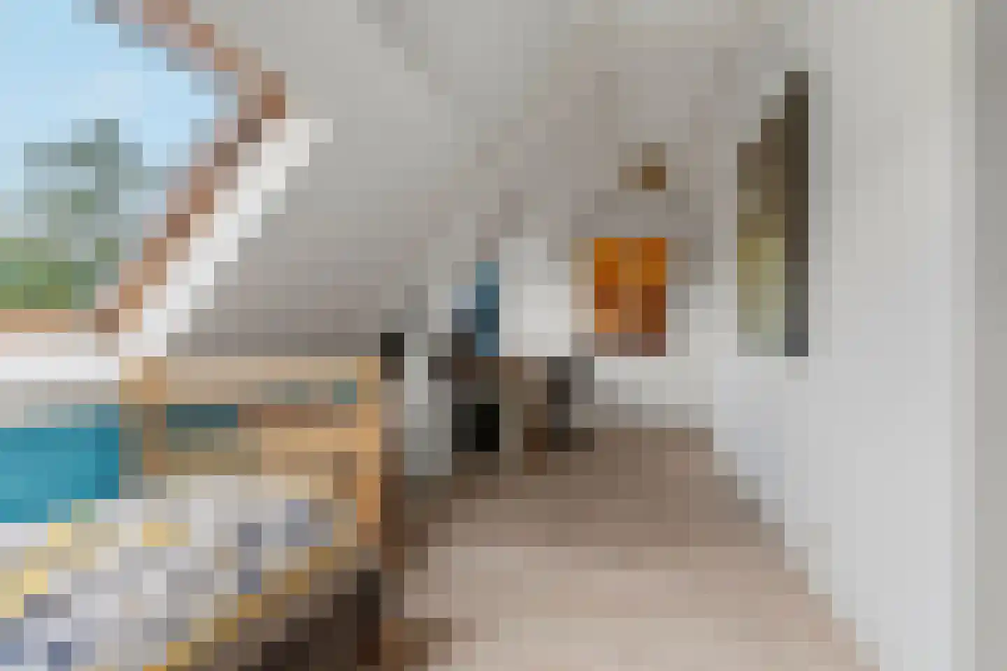 Cattepoelseweg 297 Arnhem thumbnail 29