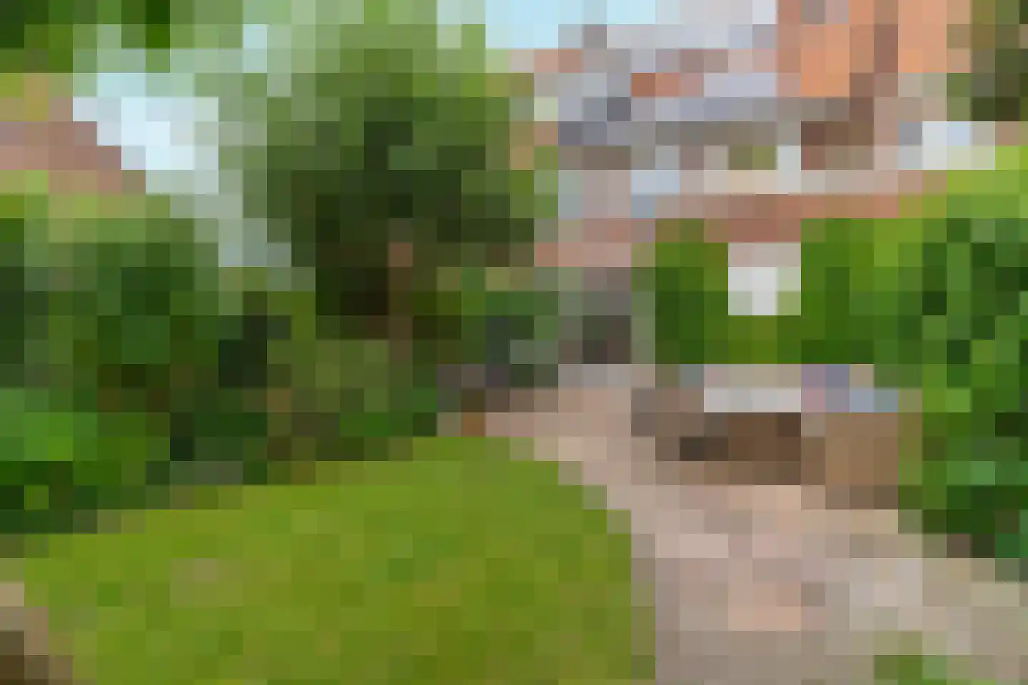 Cattepoelseweg 297 Arnhem thumbnail 35