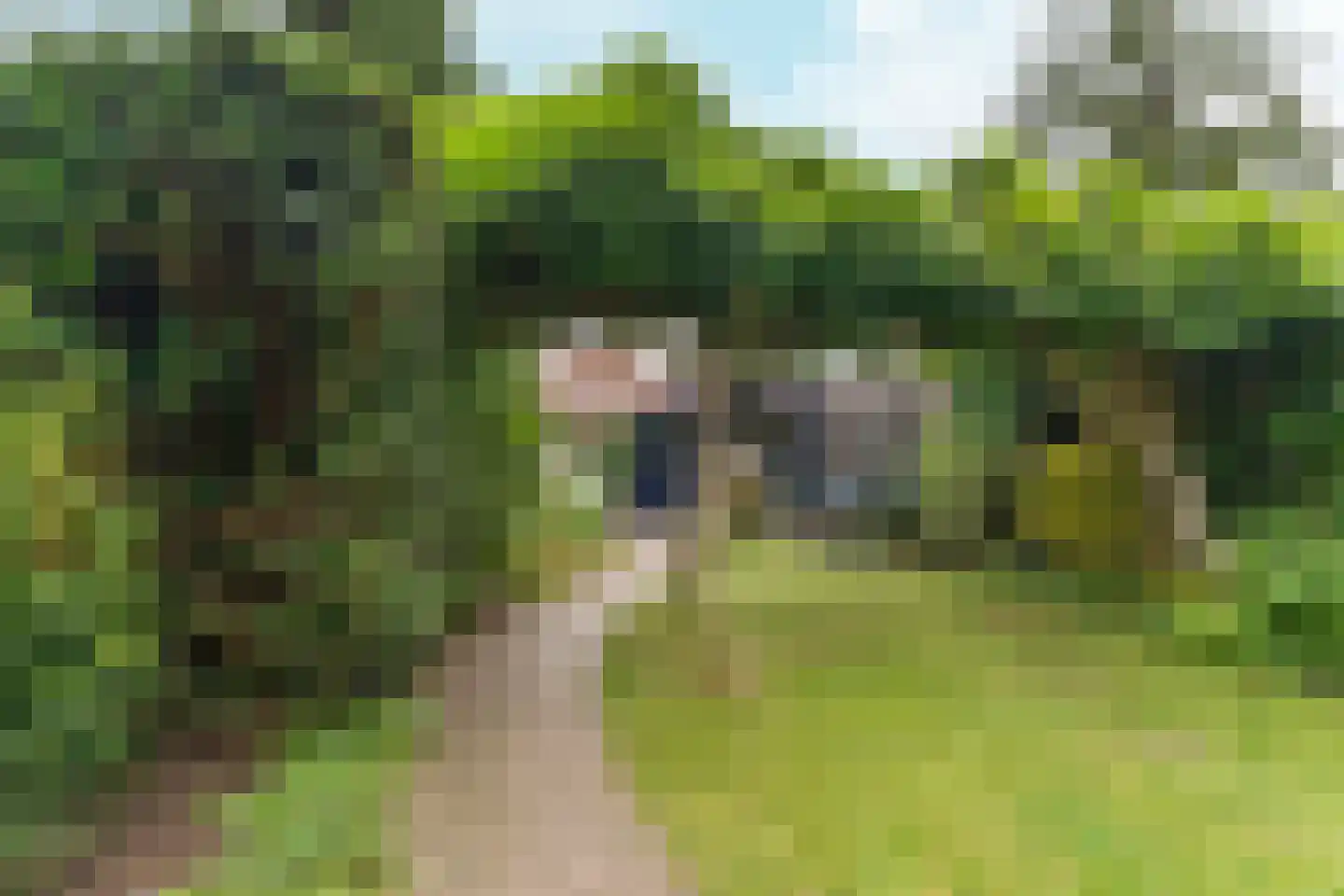Cattepoelseweg 297 Arnhem thumbnail 37