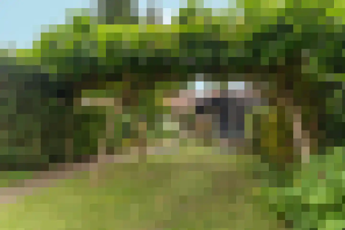 Cattepoelseweg 297 Arnhem thumbnail 39