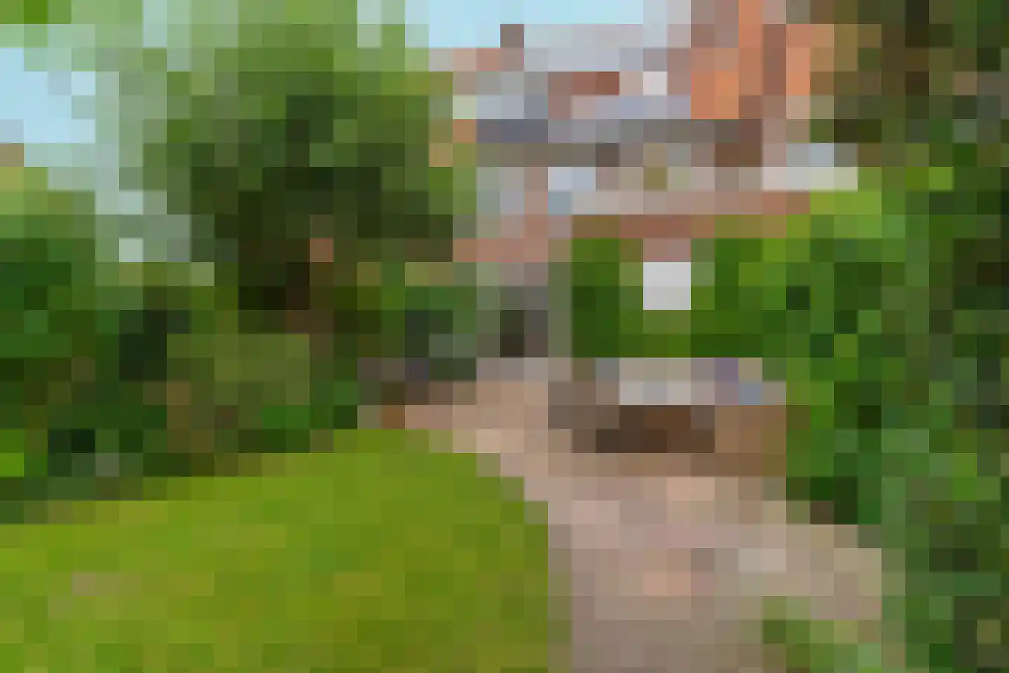 Cattepoelseweg 297 Arnhem thumbnail 40