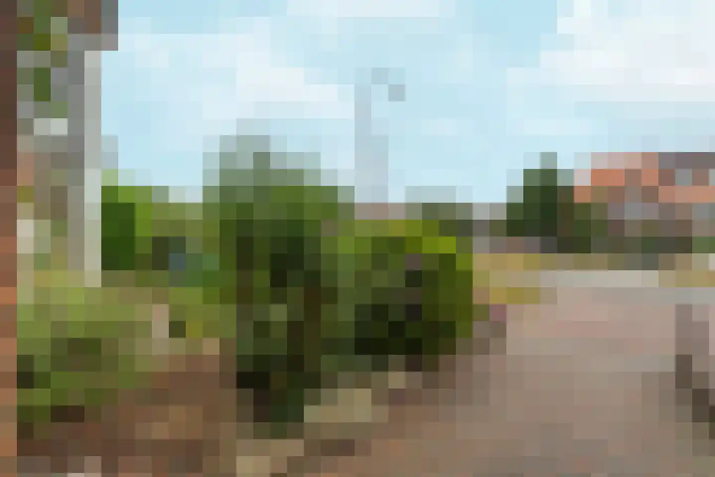 Cattepoelseweg 297 Arnhem thumbnail 43