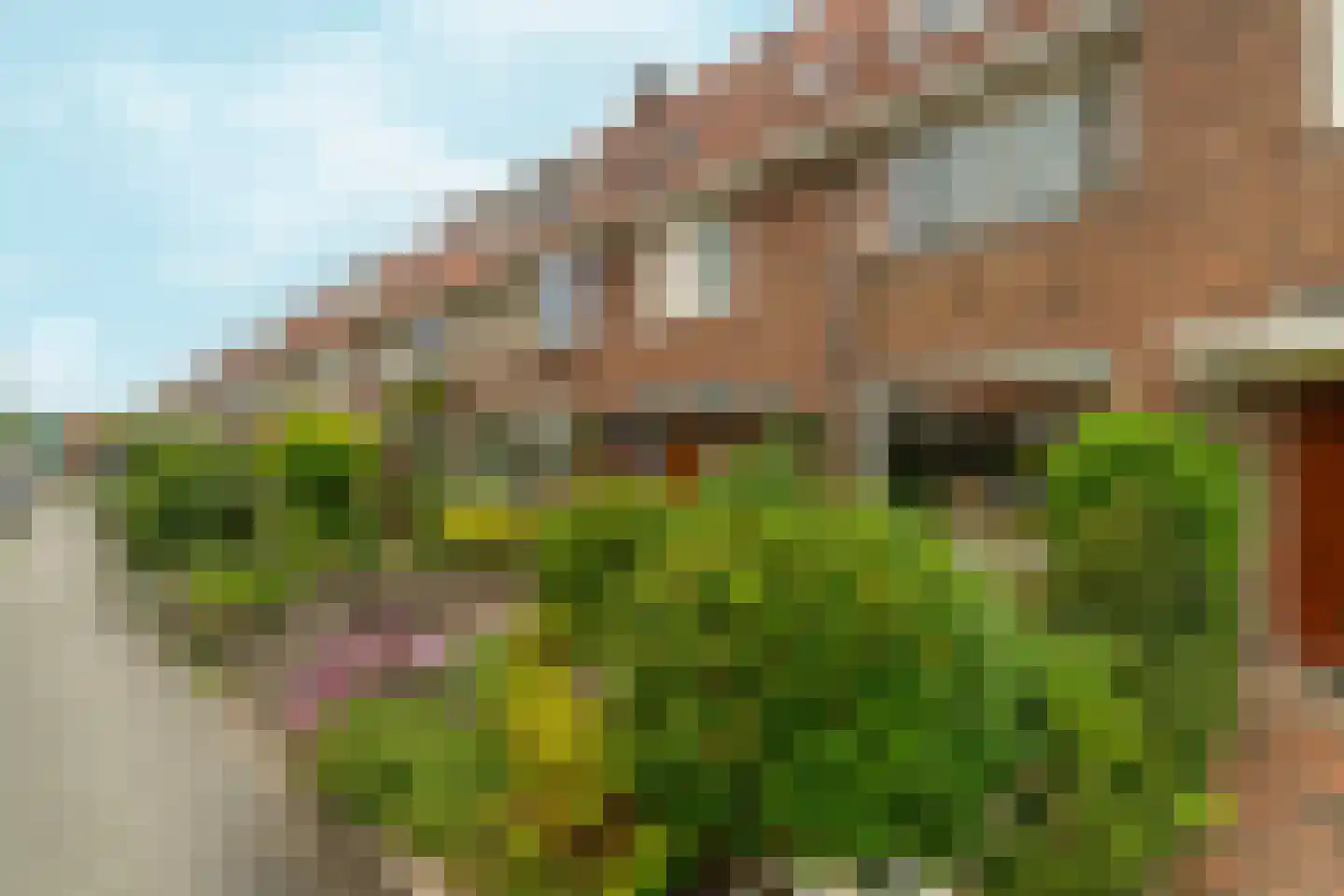 Cattepoelseweg 297 Arnhem thumbnail 45