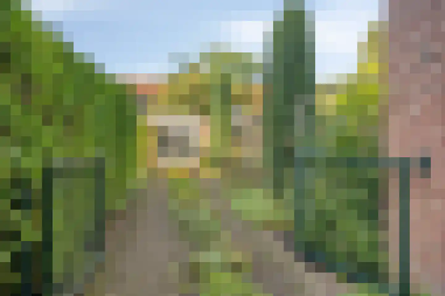 Cattepoelseweg 309 Arnhem thumbnail 19
