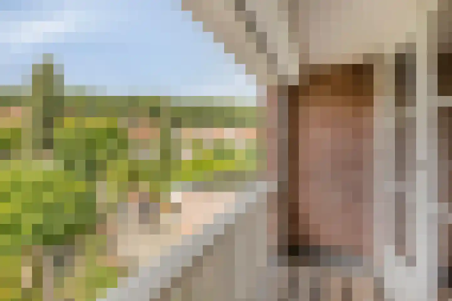 Cattepoelseweg 309 Arnhem thumbnail 26