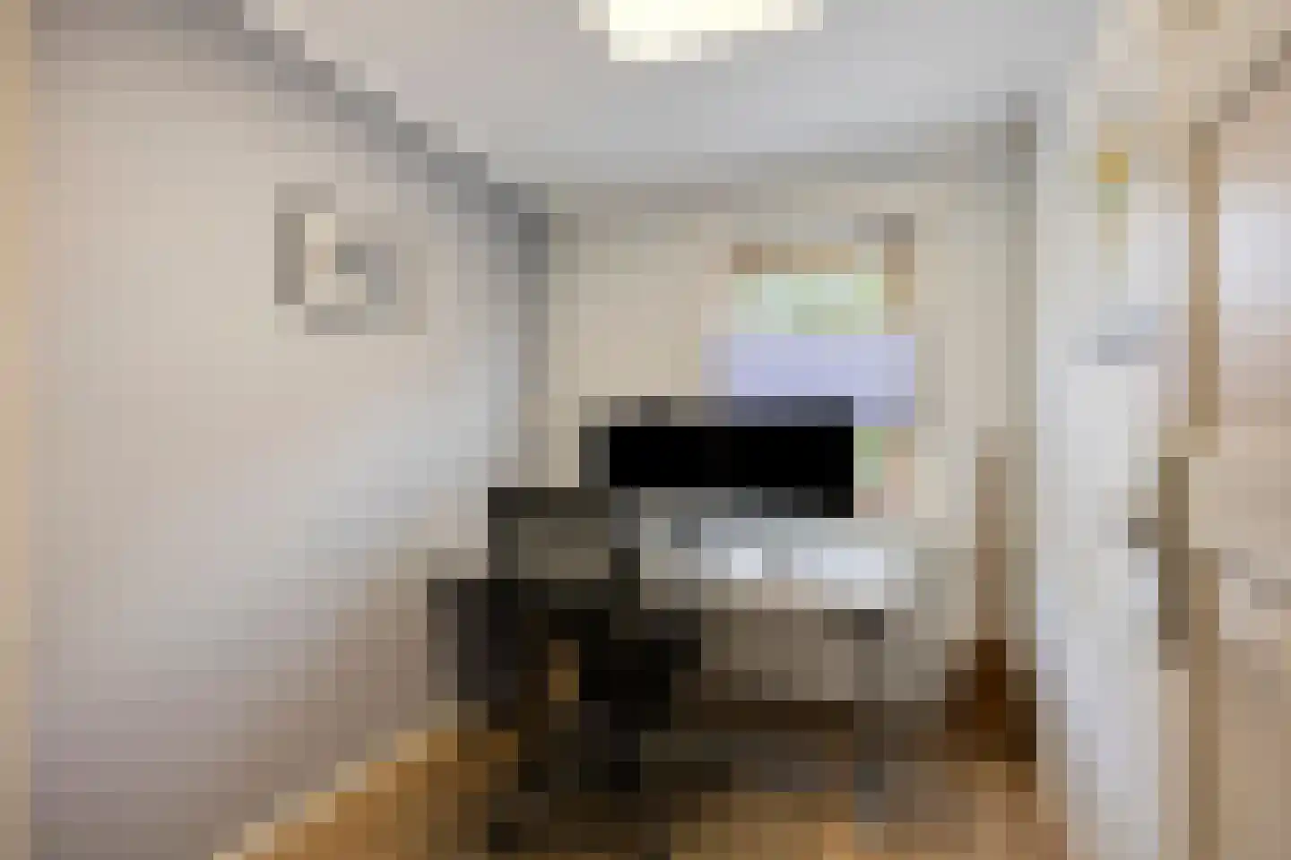Cattepoelseweg 325 Arnhem thumbnail 18