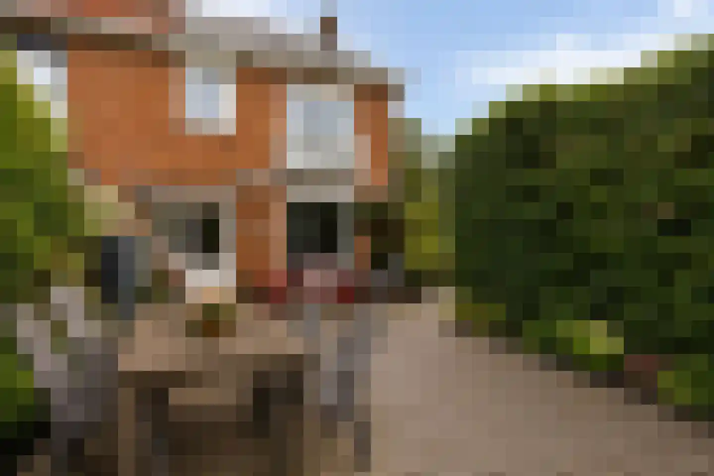 Cattepoelseweg 325 Arnhem thumbnail 23